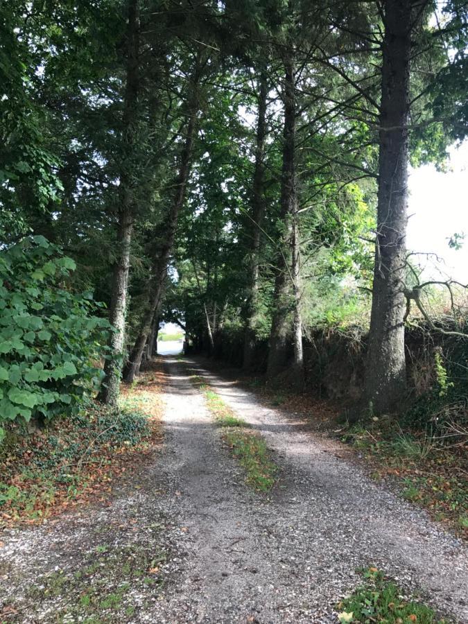 Parc Ar Brun Bihan Minihy-Tréguier Εξωτερικό φωτογραφία